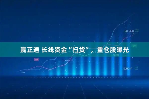 赢正通 长线资金“扫货”，重仓股曝光