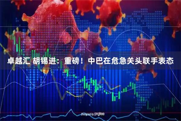 卓越汇 胡锡进：重磅！中巴在危急关头联手表态